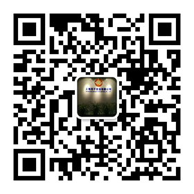 关注我们